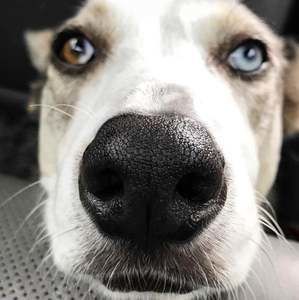 Meet your Posher, Greg